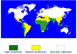 Map of countries that have typhoid fever outbreaks