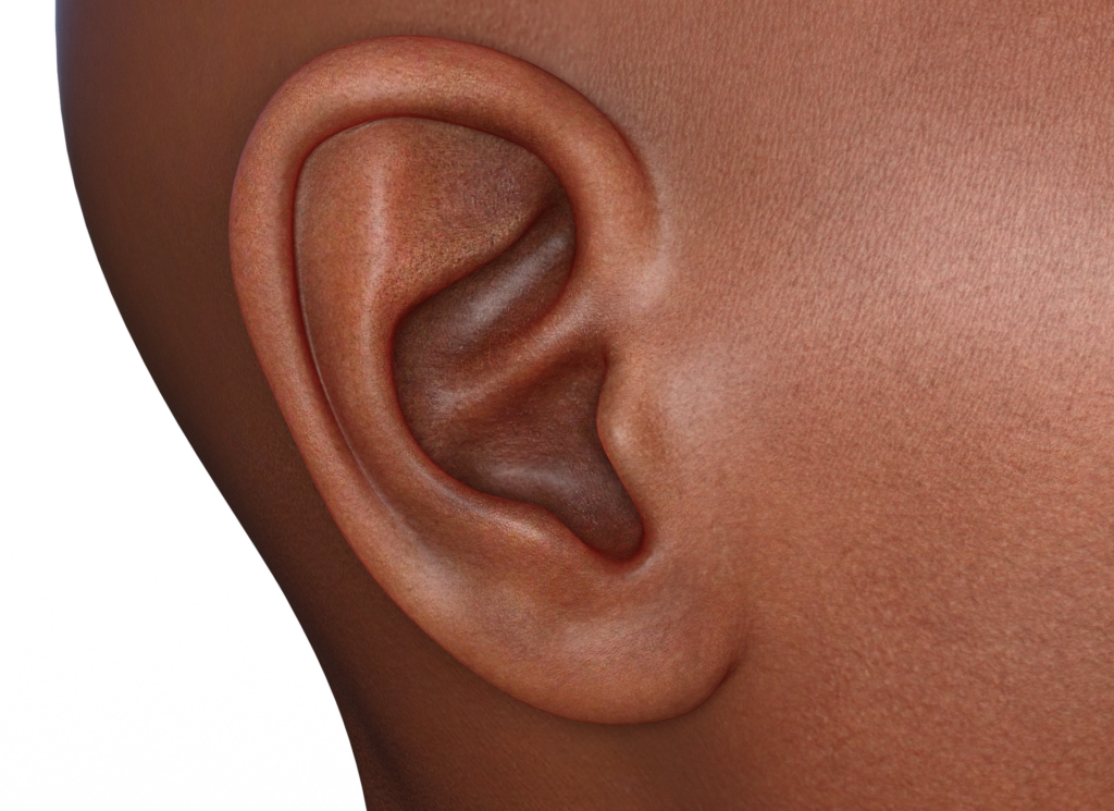 A picture of an ear