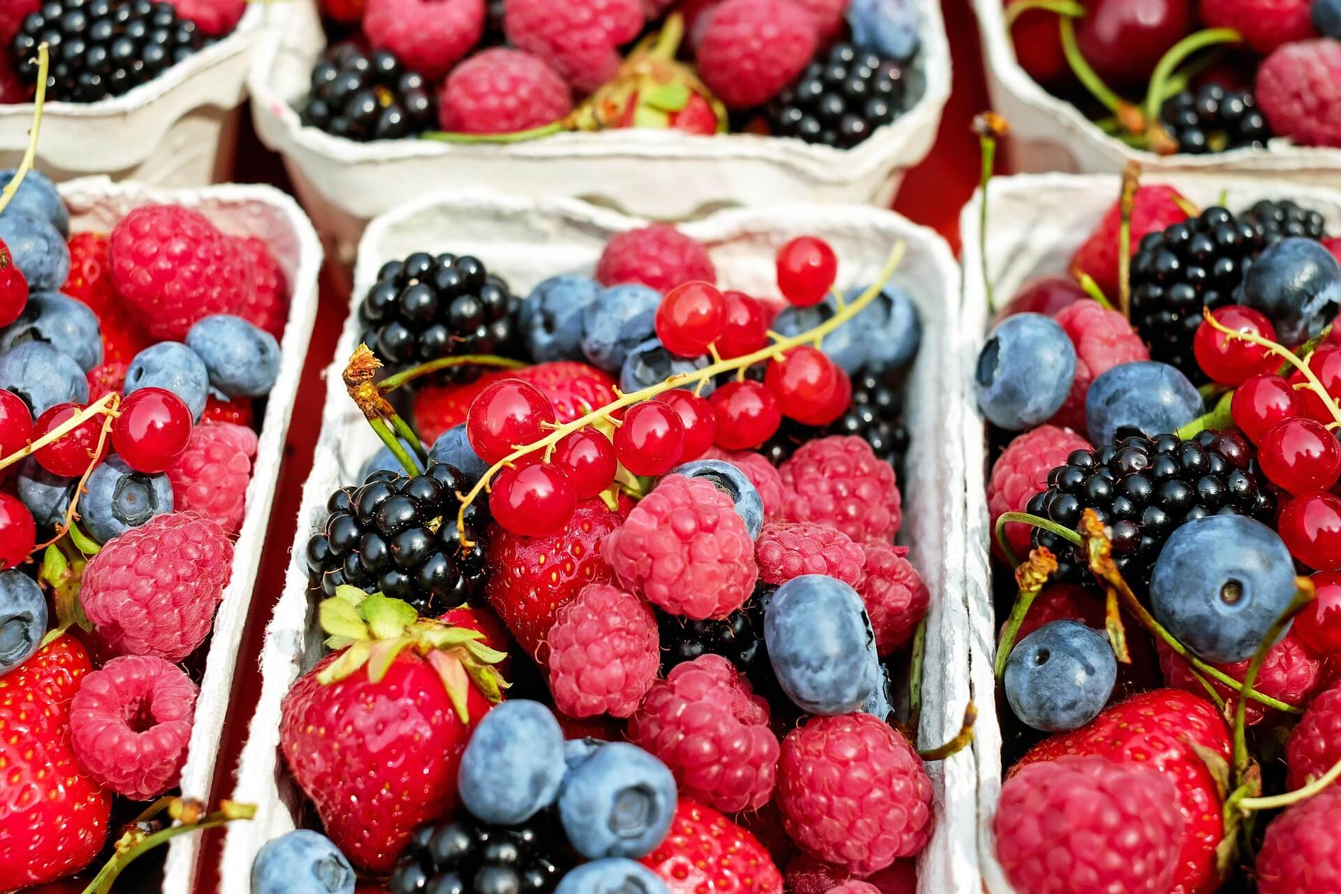 A tray of mixed beries including blueberries, strawberries, raspberies and blackberries. All good to eat while taking Mounjaro